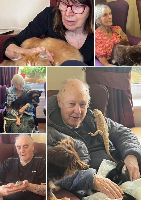 Pet theraphy at cherry 