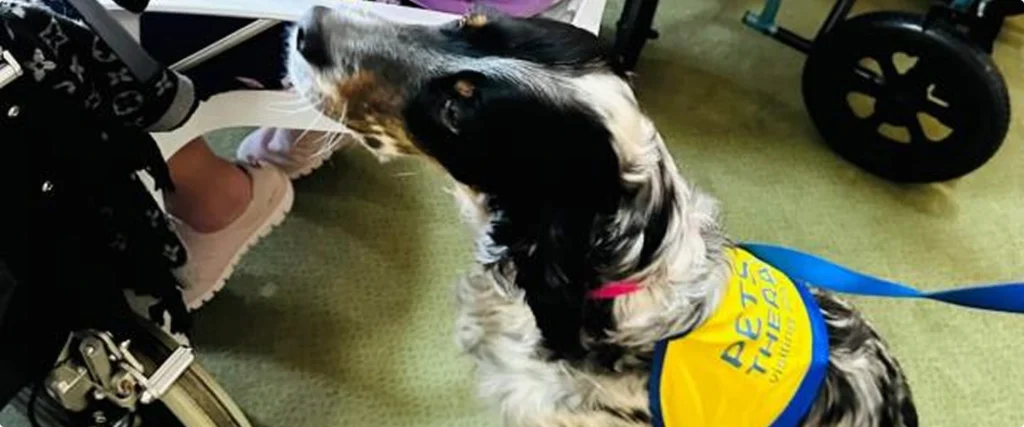 Pets as theraphy
