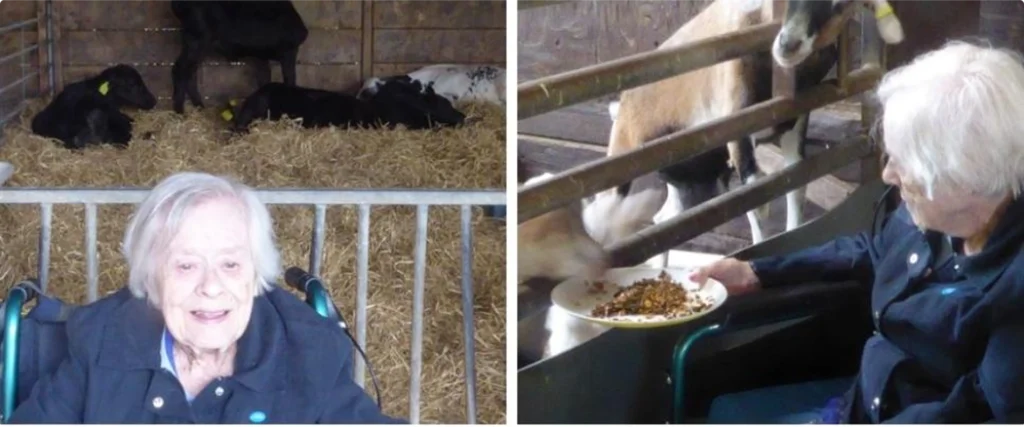 Residents visit local farm