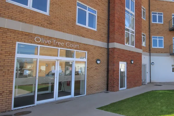 Olive Tree Court